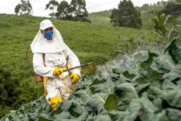 Normativa Biocidi: Come Eliminare gli Insetti in Sicurezza?
