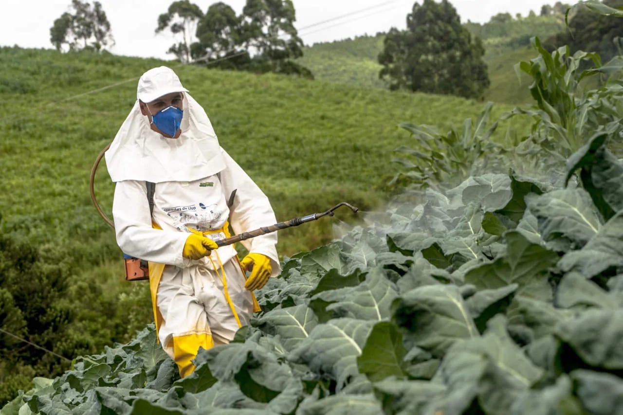Normativa Biocidi: Come Eliminare gli Insetti in Sicurezza?